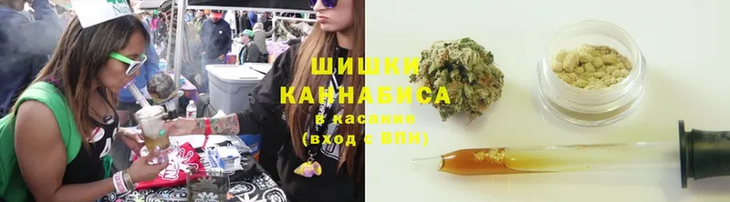 Бошки марихуана Amnesia  как найти   Лабинск 